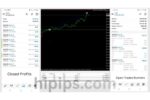 Sigma Trend Protocol EA STP MT4 + Setfiles - Image 3