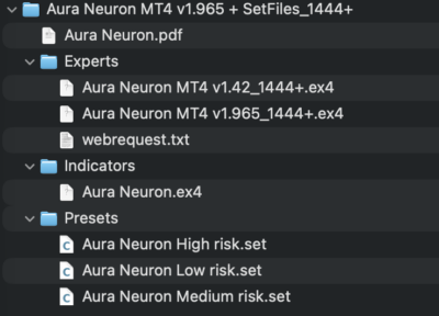 AURA NEURON Download