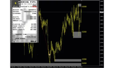 Boring Pips EA MT4 Review