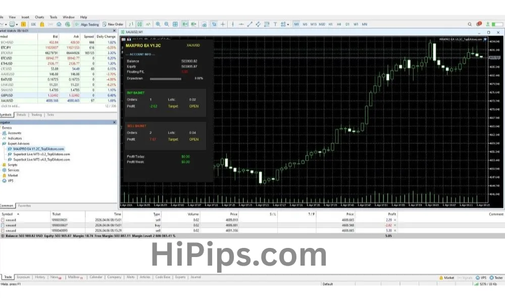 how forex robot works algorithmic trading process MT4 expert advisor