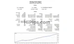 Scalping Robot MT4 Review (1)
