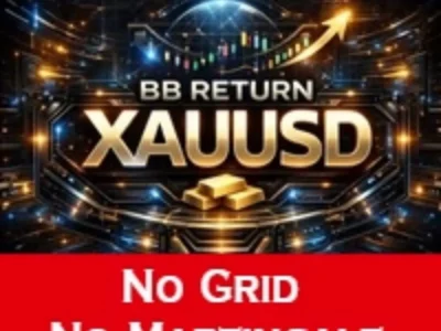 BB RETURN