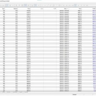 ROBOT DE ORO MR. Y 8.0 ULTRASAFE™ MT5 + SETFILES BUILD 5833+ - MT5 Expert Advisor product preview