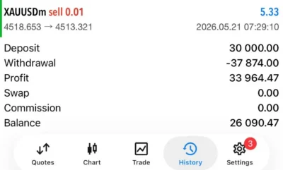 V4 GRID BOT Review