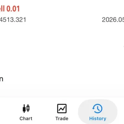 V4 GRID BOT Review