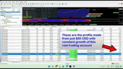 BARYONYX ROBOT TRADING MT4 + SETFILES BUILD 1460+ - 1