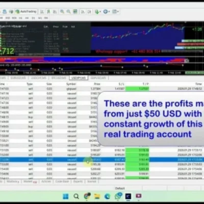 BARYONYX ROBOT TRADING MT4 + SETFILES BUILD 1460+ - 1