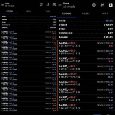 BTX SCALPER PRO EA (1)