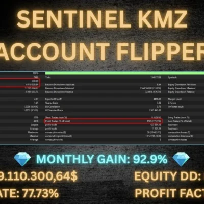Sentinel KMZ - 1