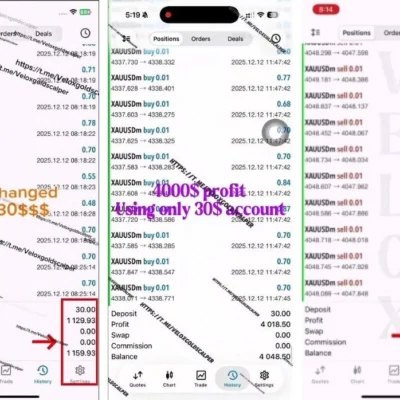 VELOX SCALPER (XAU) EA - 1