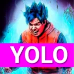 YOLO DIAMOND HANDS