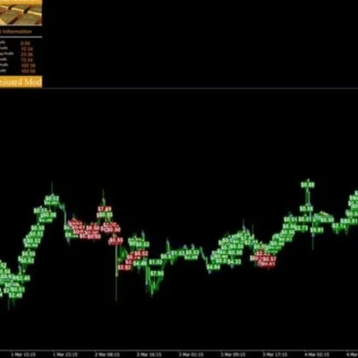 ADVANCED GOLD TRADING V6.3 MT4 (4)