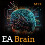 AMAZING BRAIN EA