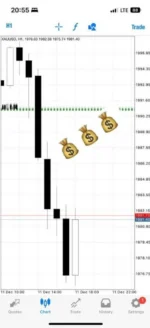 Blue Mode Dollar Chaser System v3.0 MT4 (3)