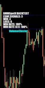 BMM SPOT X INDICATOR - 4