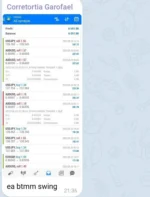 BTMM SWING TRADER (2)