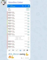 BTMM SWING TRADER (4)