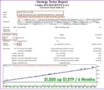CASINO AVG BACKUP EA - 1
