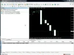 exp-copylot-client-for-mt4