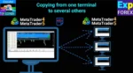COPYLOT CLIENT EA (2)