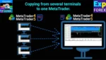 COPYLOT CLIENT EA (3)