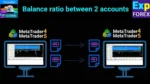 COPYLOT CLIENT EA (5)