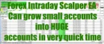 FX Intraday Scalper Robot EA - 2