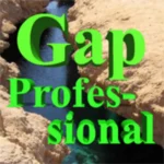 GAP PROFESSIONAL EA Review