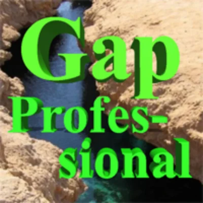 GAP PROFESSIONAL EA Review