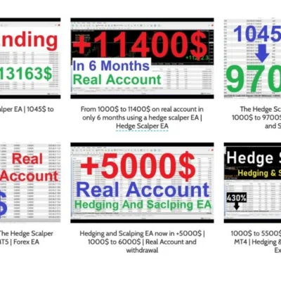 Forex Hedge Scalper EA Review