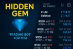 HIDDEN GEM MT4 V2.0 BUILD 1440+ - 3