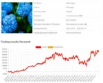 HYDRANGEA EA MT4 V2.08 BUILD 1441+ - 6