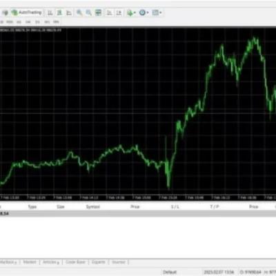 IS VIP BTC EA - 1