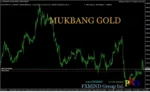 MUKBANG EA GOLD MQ4 SOURCE CODE - 1