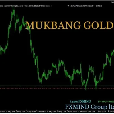 MUKBANG EA GOLD MQ4 SOURCE CODE - 1