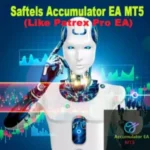 SAFTELS ACCUMULATOR EA