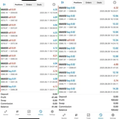 SAVIOUR GOLD TRADING EA (3)