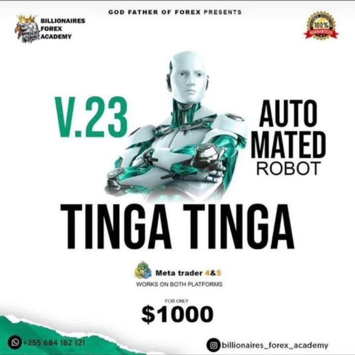 TINGA TINGA ROBOT EA MT4 TINGA TINGA ROBOT EA MT4
