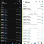 FOREX FUGE EA (2)