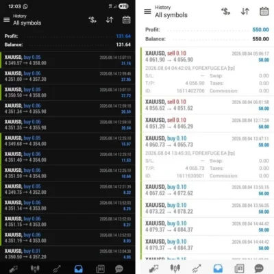 FOREX FUGE EA (2)
