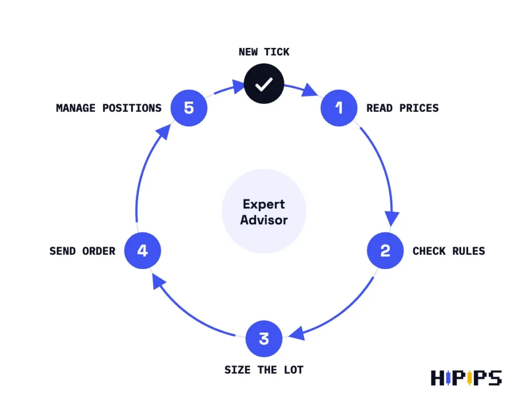cycle of an Expert Advisor on each price tick: read prices, check rules, size the lot, send the order, manage positions