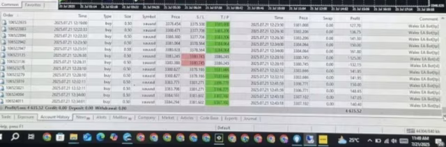Walex EA MT5 settings and strategy overview