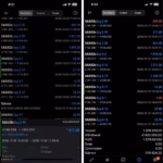 ZS-RSI MARTI EA MT5 review screenshot showing trading information