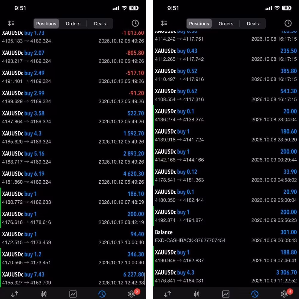 ZS-RSI MARTI EA MT5 review screenshot of strategy settings
